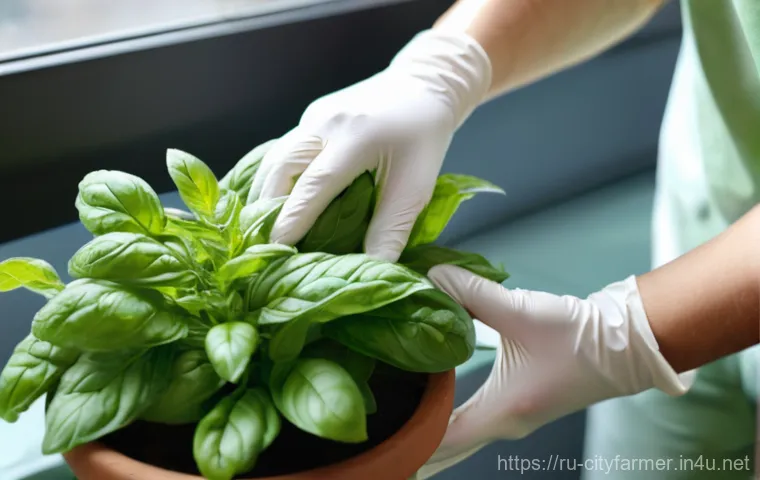 도시농업 작물별 수확 시기 - Prompt 1: Urban Herb Harvest**